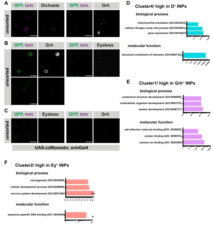 Figure 1—figure supplement 2.