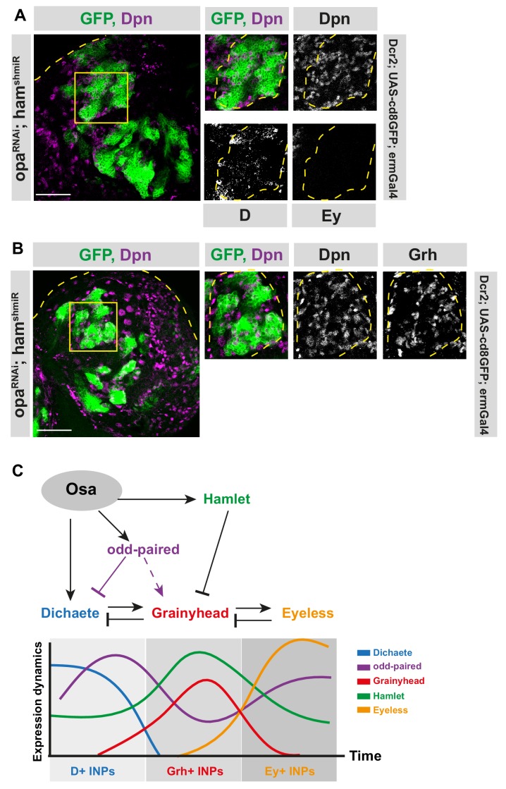 Figure 6.