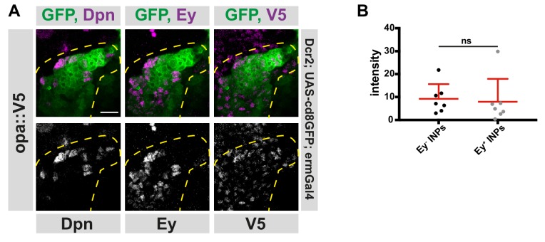 Figure 4—figure supplement 3.