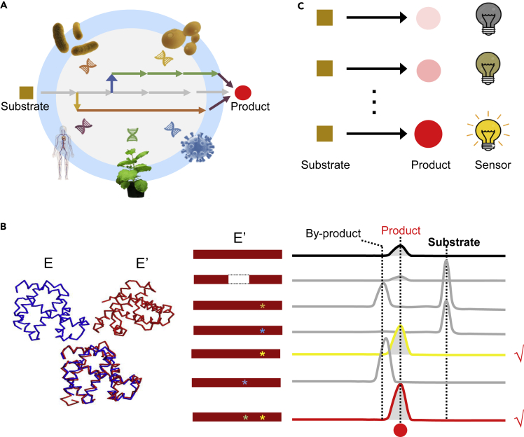 Figure 3