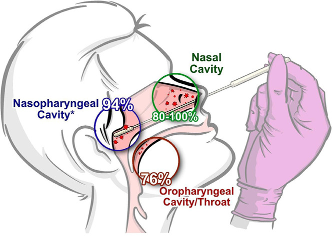 Image, graphical abstract