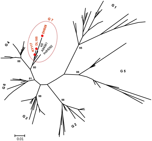 Figure 5