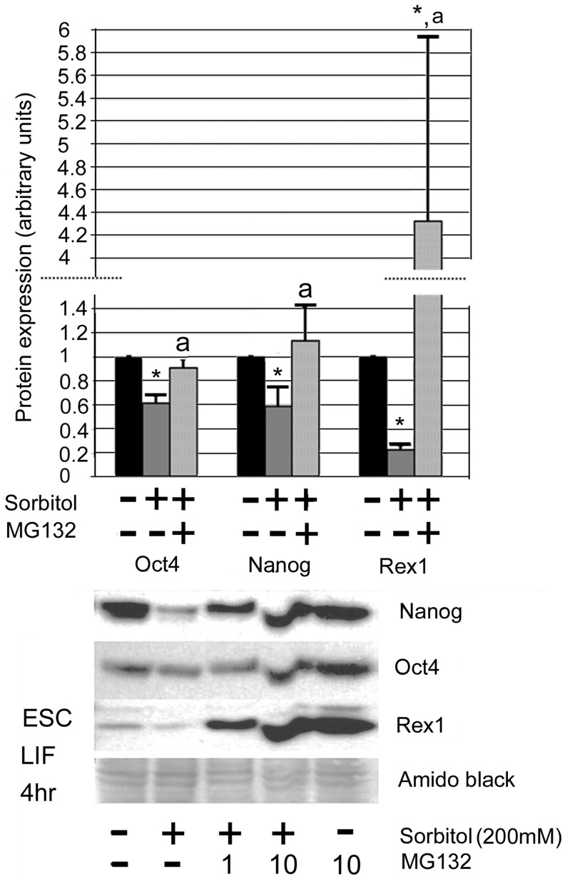 FIG. 5.