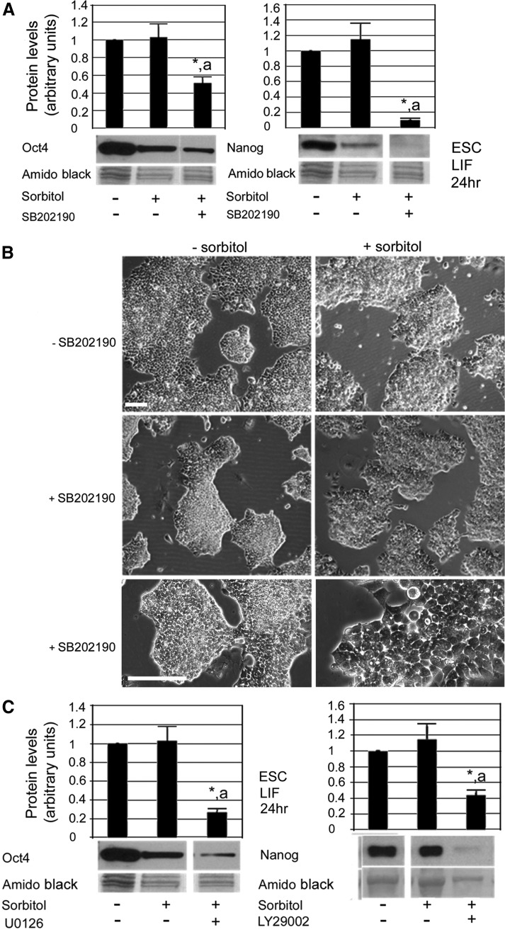 FIG. 7.