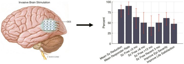 Graphical Abstract