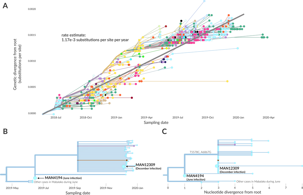 Figure 4: