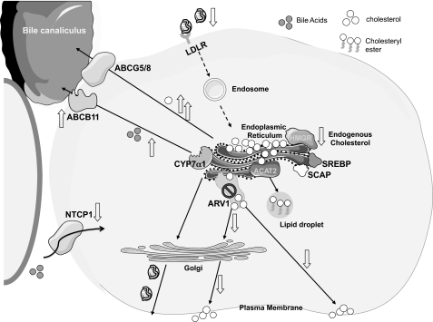 FIGURE 7.