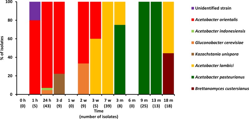 FIG 2