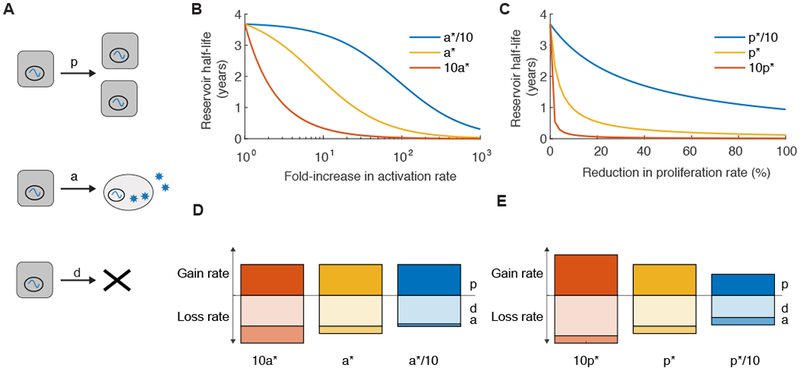 Figure 7: