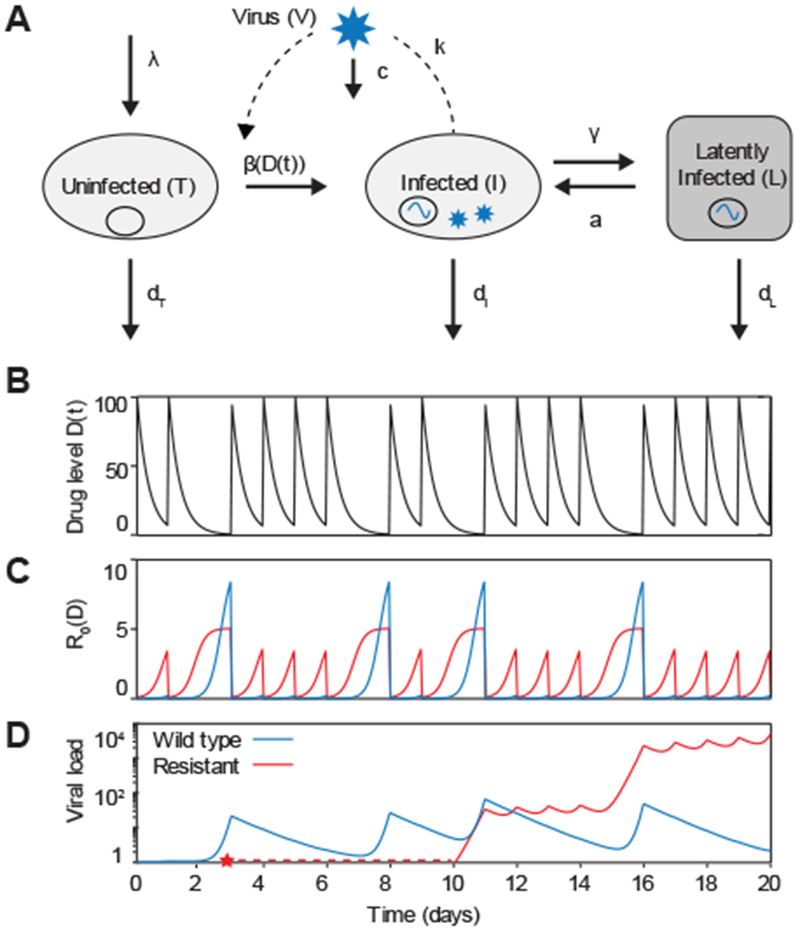 FIGURE 5: