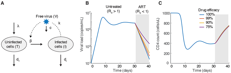 Figure 2: