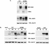 FIG. 8.