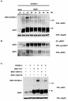 FIG. 6.