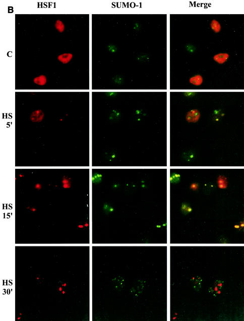 FIG. 9.