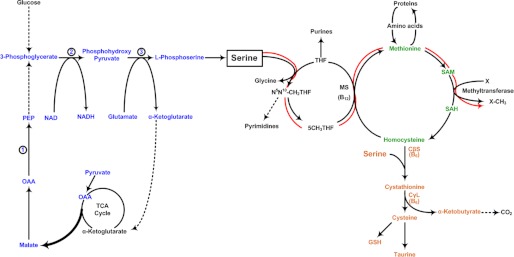 FIGURE 1.