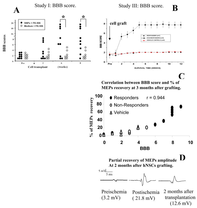 Figure 3 A – D