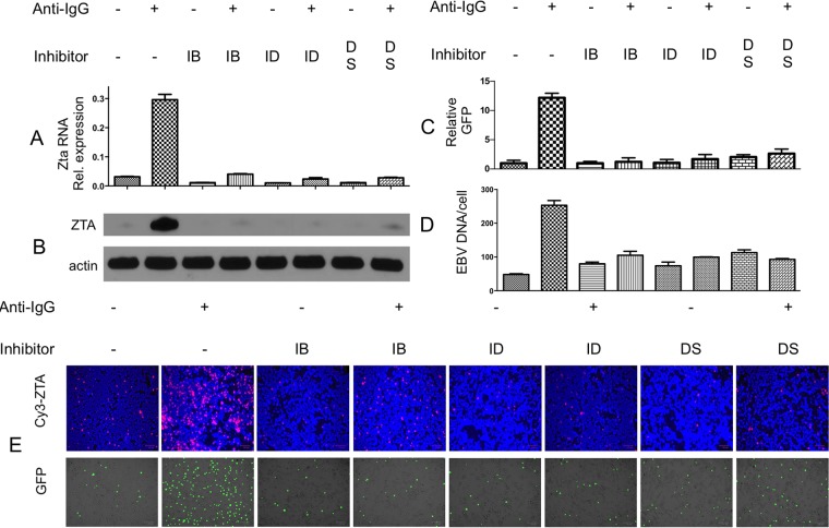 FIG 1