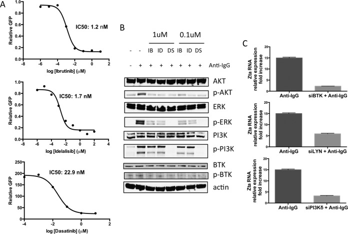 FIG 2