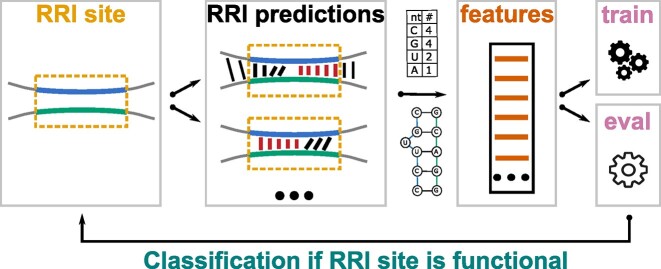 Figure 1: