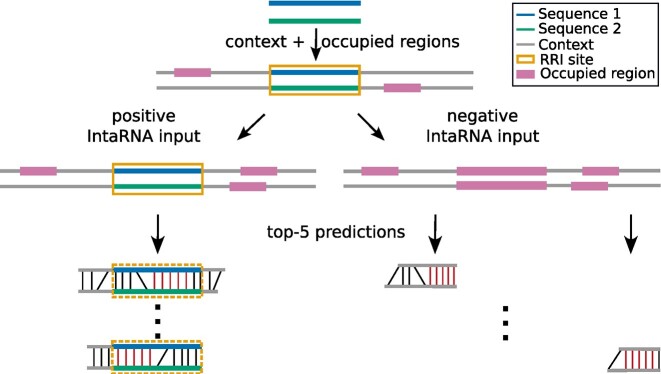 Figure 3: