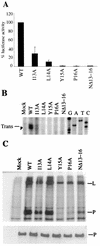 FIG. 3.