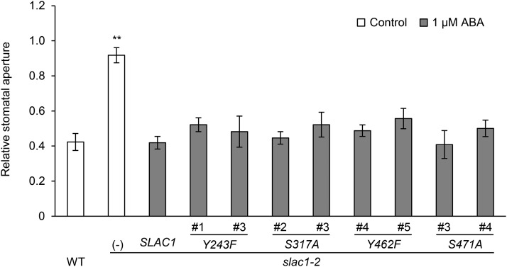 Figure 6.