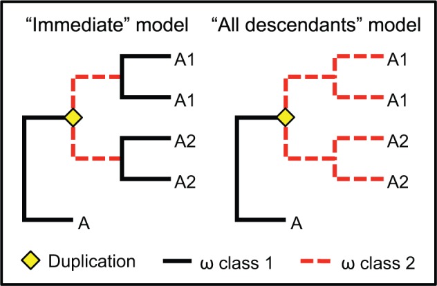 Fig. 1.—