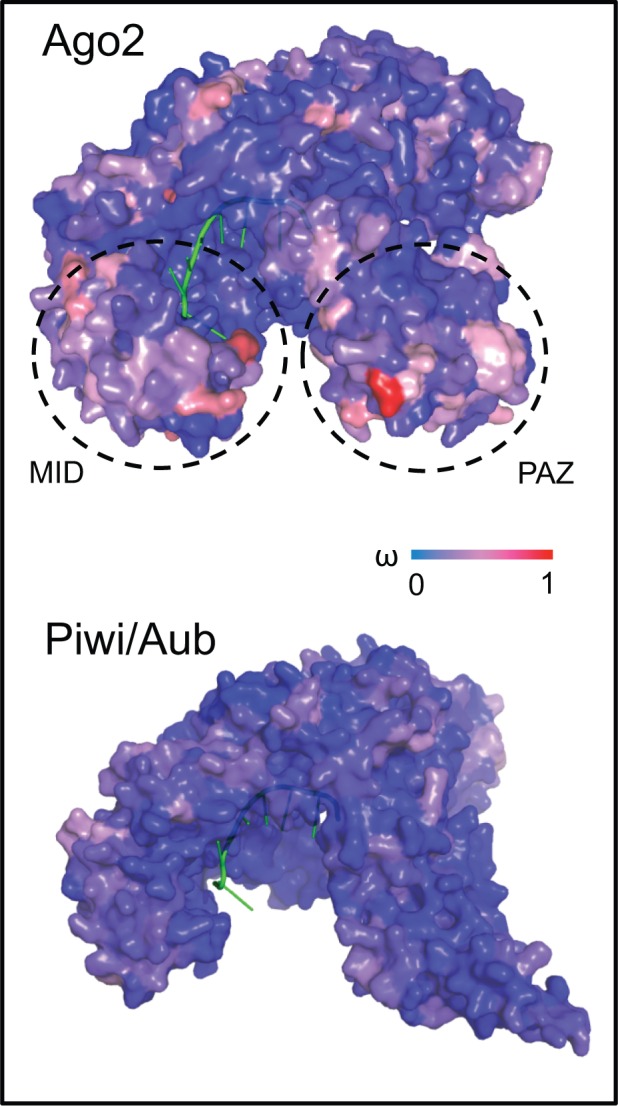 Fig. 5.—