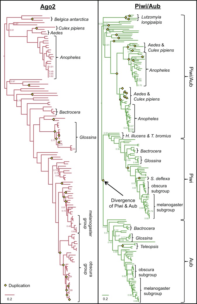 Fig. 3.—