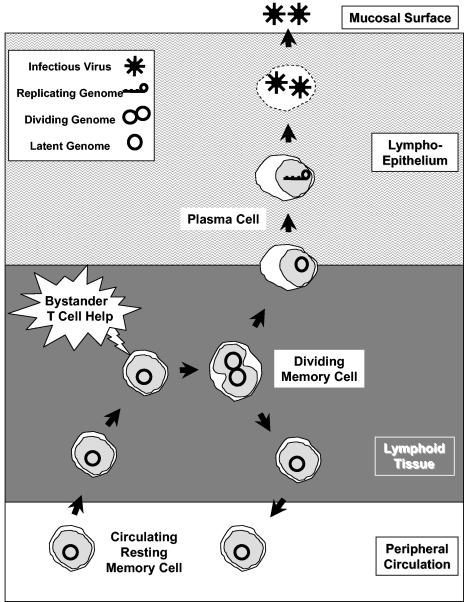 FIG. 8.