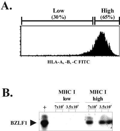 FIG. 7.