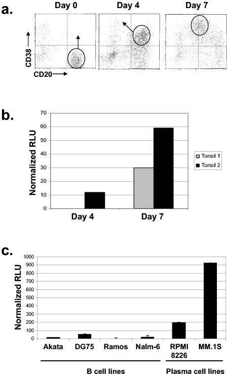 FIG. 6.