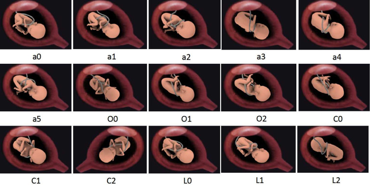 Figure 8