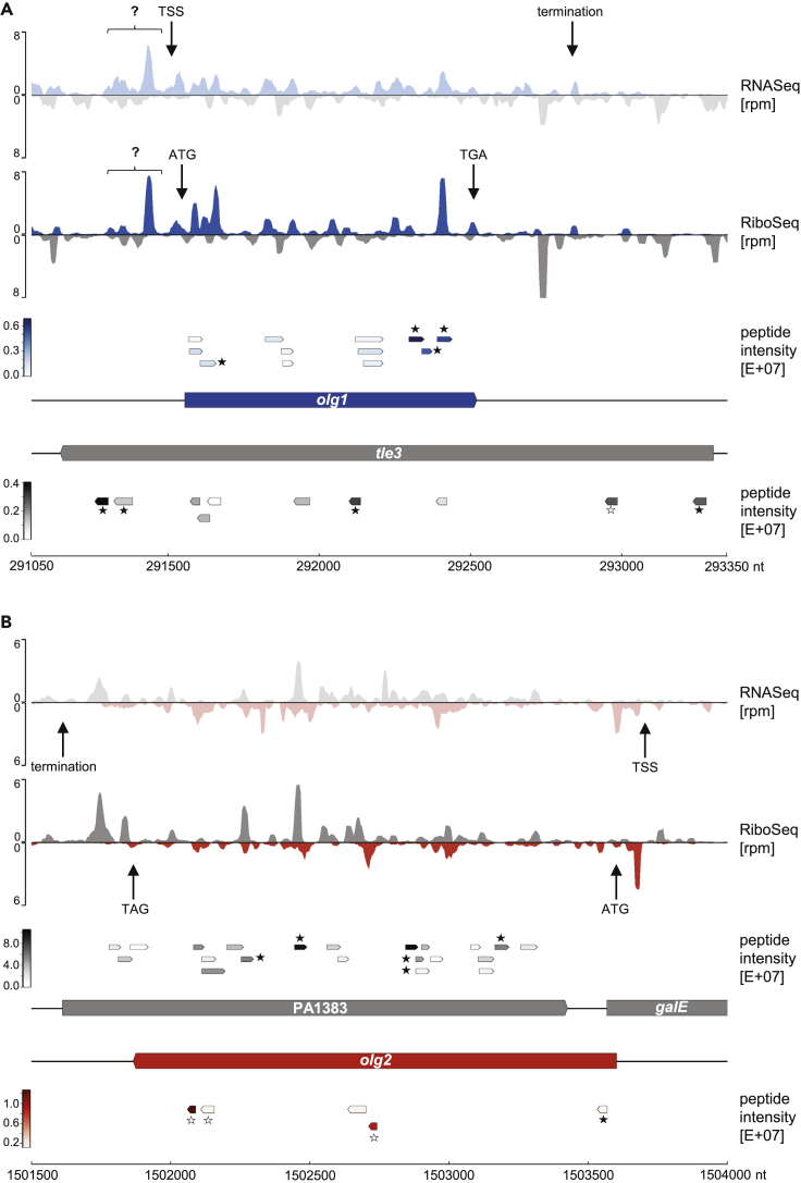 Figure 2