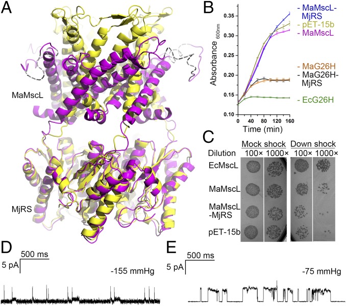 Fig. 1.