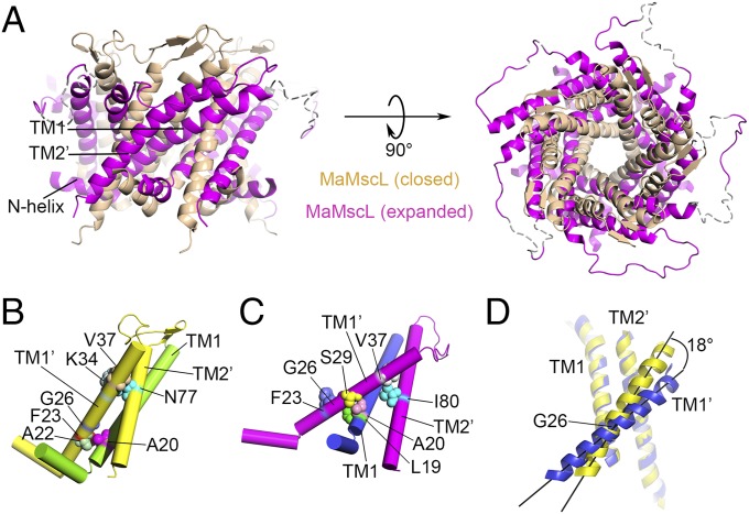 Fig. 2.