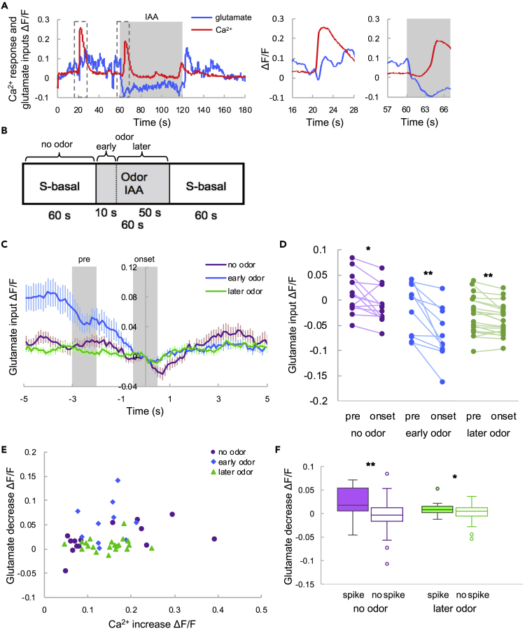 Figure 3