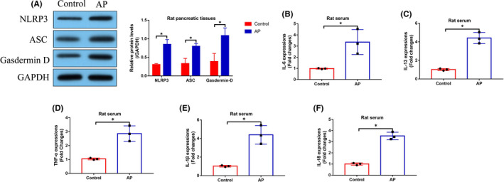 FIGURE 3