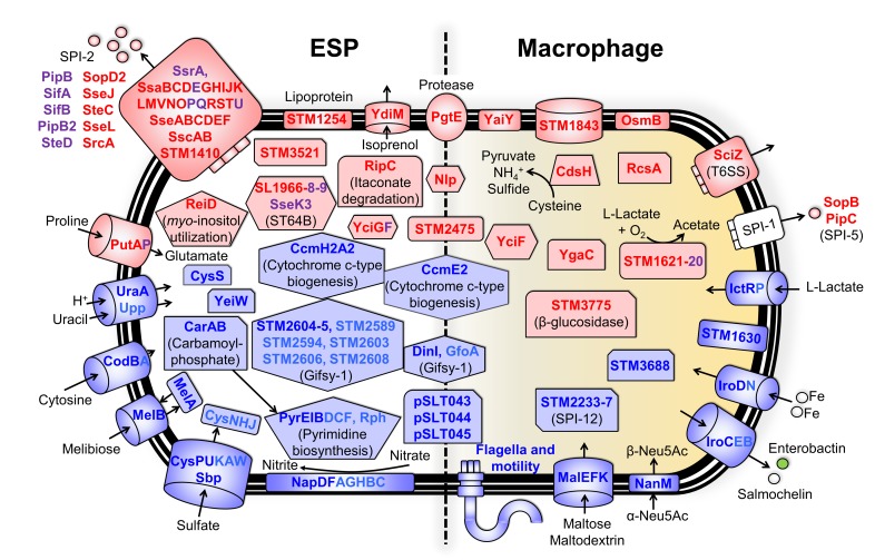 Fig 4