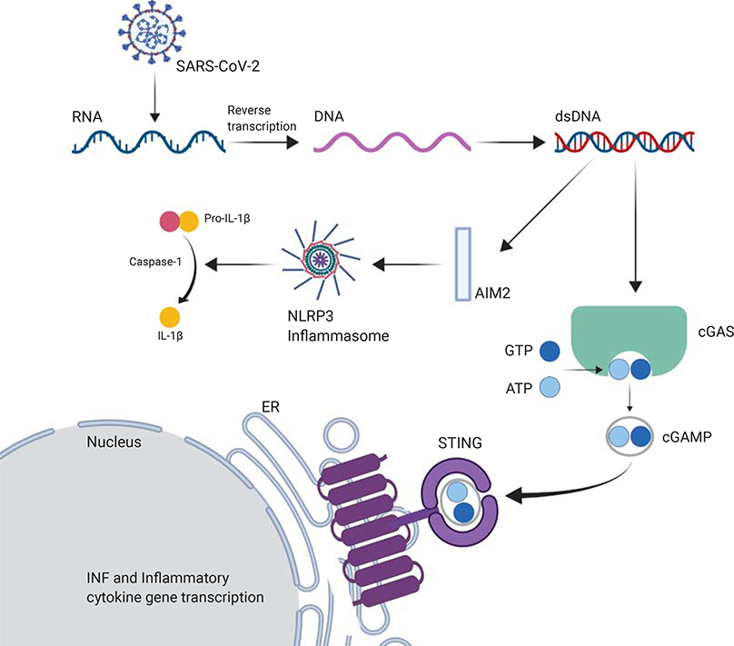 Figure 2: