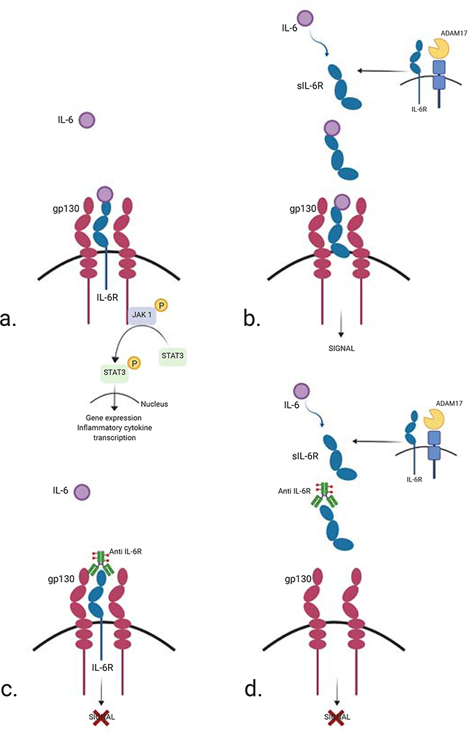 Figure 3: