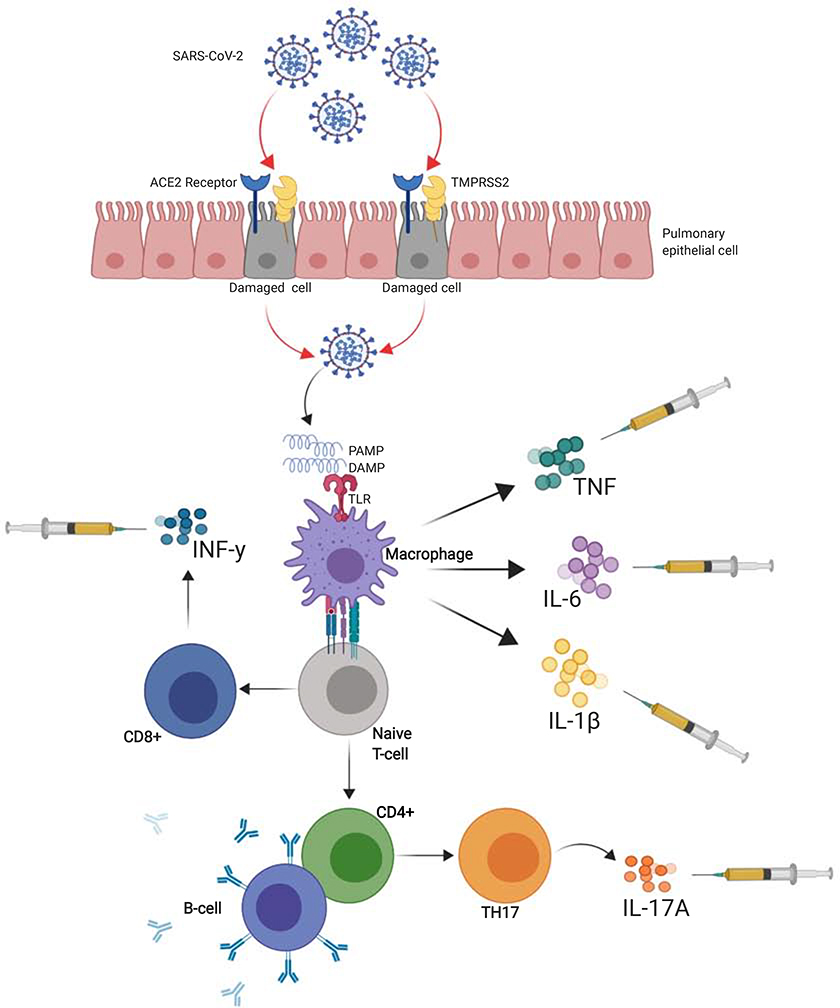 Figure 1: