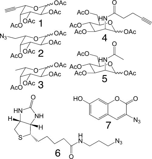 Scheme 1.