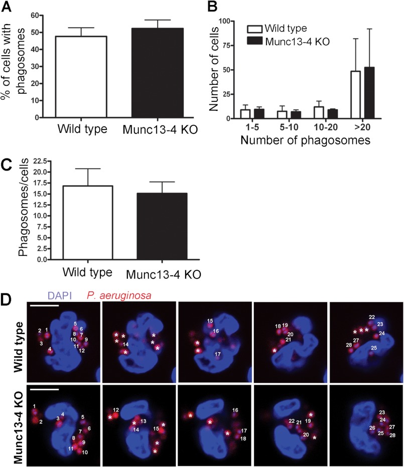 FIGURE 4.