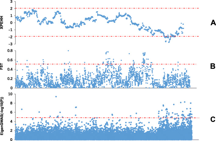 Fig. 2