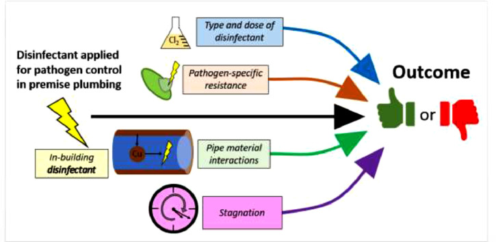 Image, graphical abstract