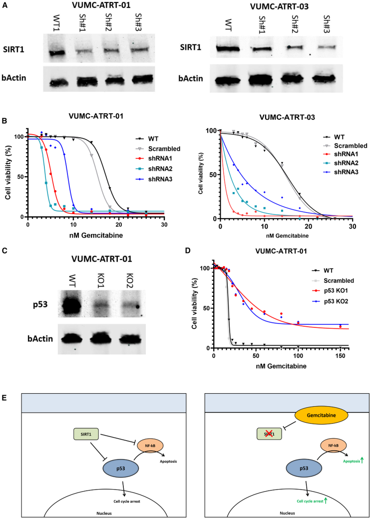 Figure 4