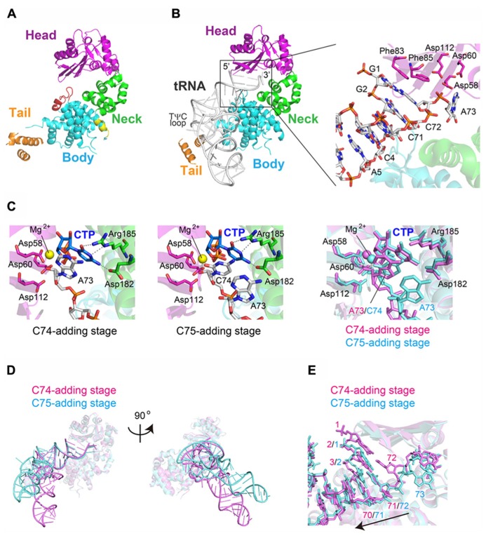 FIGURE 6