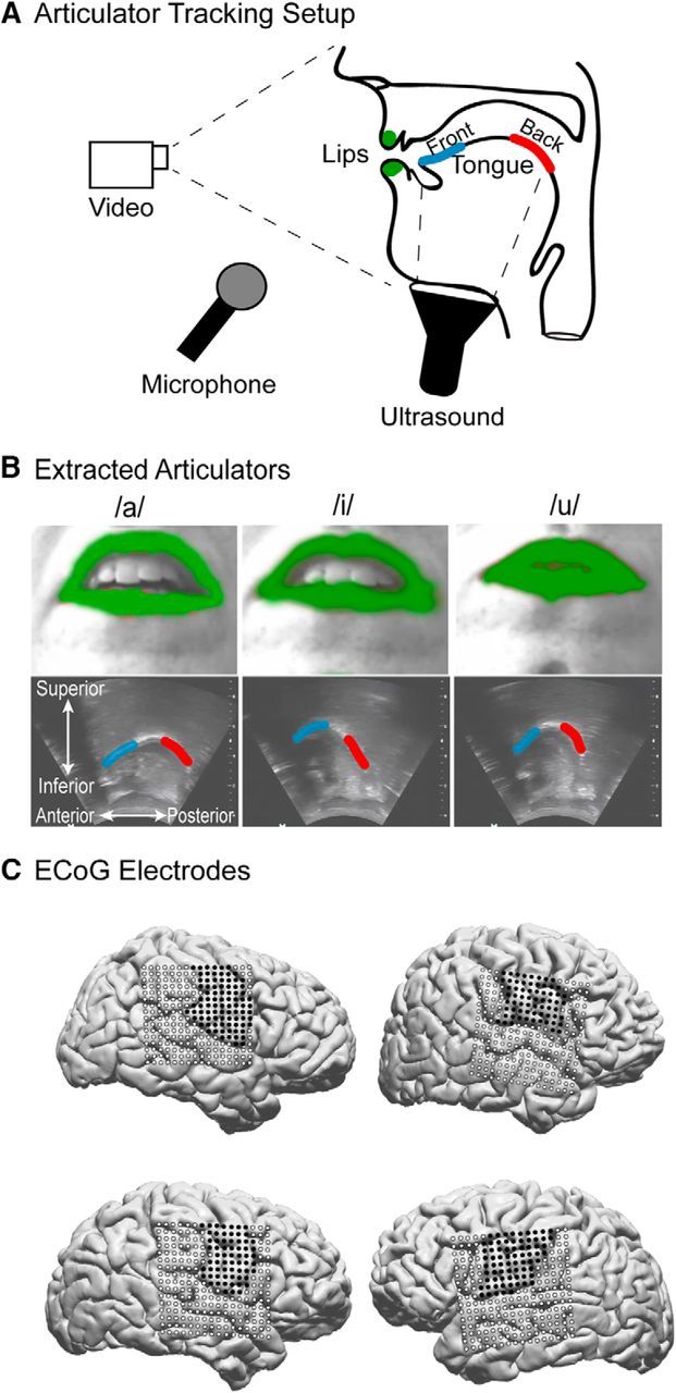 Figure 1.