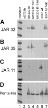 FIG. 4.